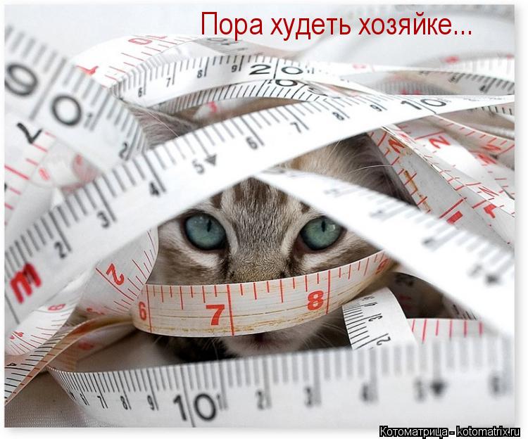 Котоматрица: Пора худеть хозяйке... Пора худеть хозяйке...