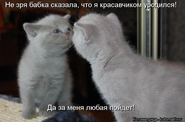 Котоматрица: Не зря бабка сказала, что я красавчиком уродился!  Да за меня любая пойдет!