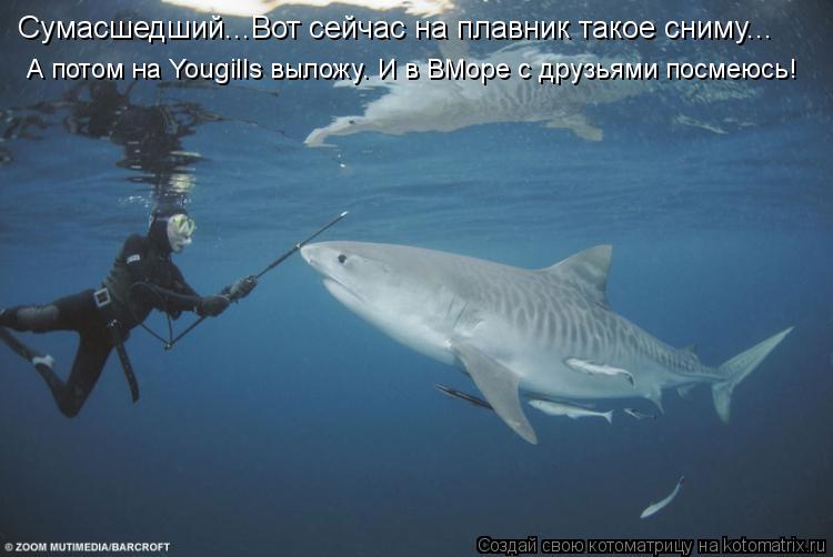 Котоматрица: А потом на Yougills выложу. И в ВМоре с друзьями посмеюсь! Сумасшедший...Вот сейчас на плавник такое сниму...