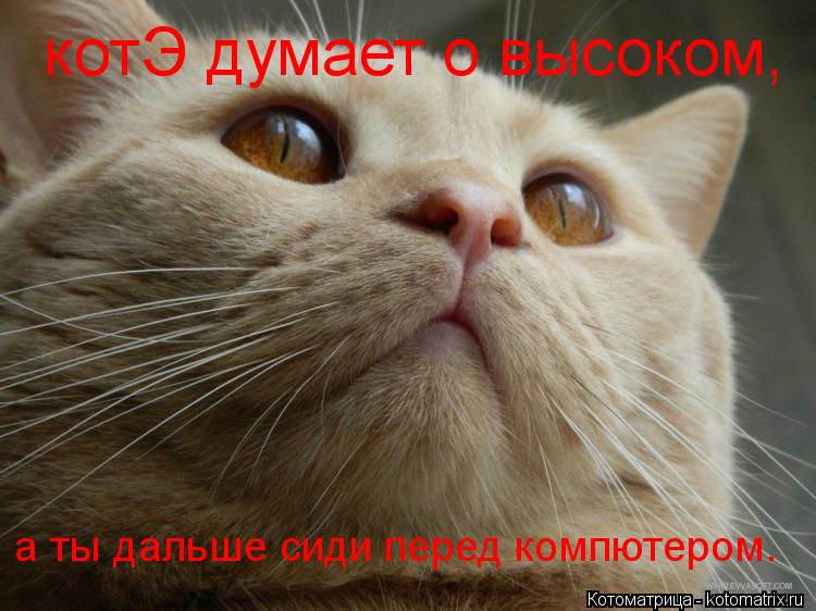 Котоматрица: котЭ думает о высоком, а ты дальше сиди перед компютером.