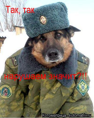 Котоматрица: Так, так нарушаем значит?!!