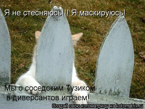 Котоматрица: Я не стесняюсь!!! Я маскируюсь! Мы с соседским Тузиком  в диверсантов играем!