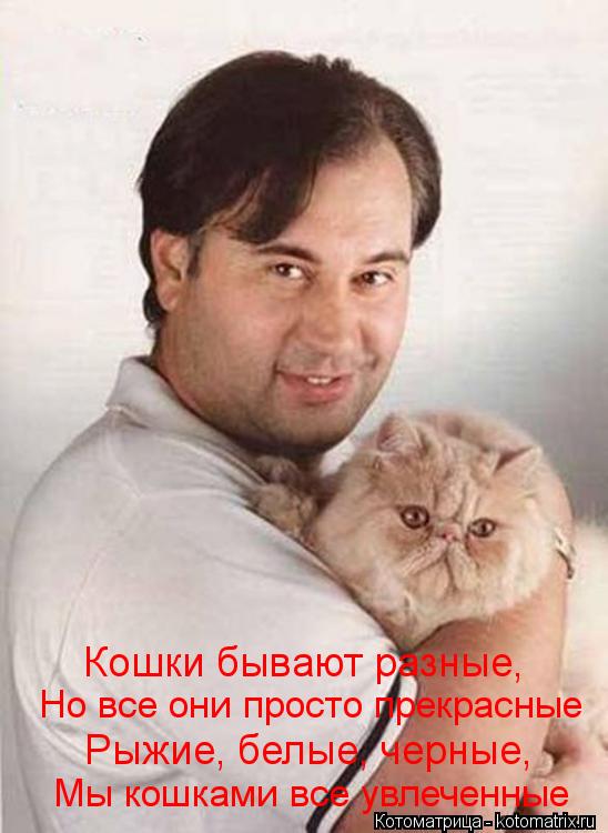 Котоматрица: Кошки бывают разные, Но все они просто прекрасные Рыжие, белые, черные, Мы кошками все увлеченные
