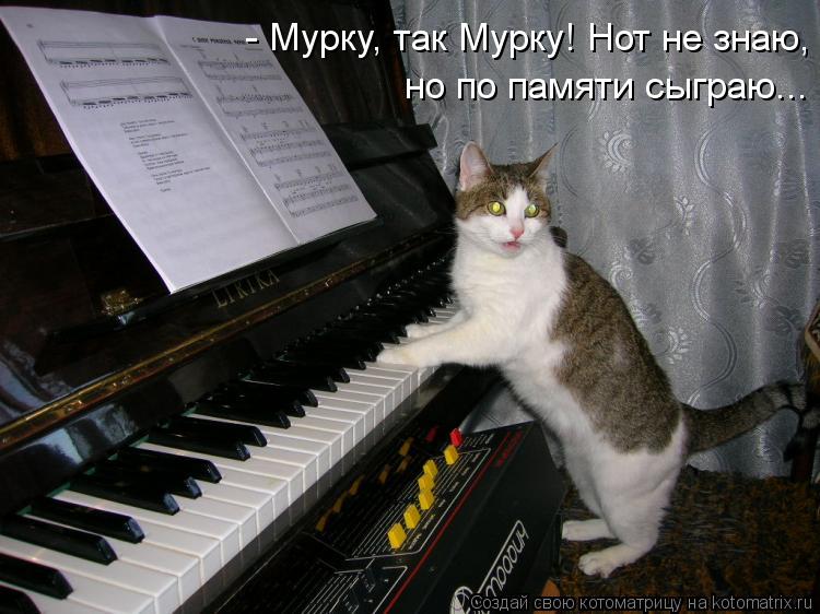 - Мурку, так Мурку! Нот не знаю, но по памяти сыграю...... Котоматрица: - Мурку, так Мурку! Нот не знаю, но по памяти сыграю...