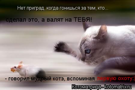 Котоматрица: Нет приград, когда гонишься за тем, кто... сделал это, а валят на ТЕБЯ!   - говорил мудрый котэ, вспоминая первую охоту:)