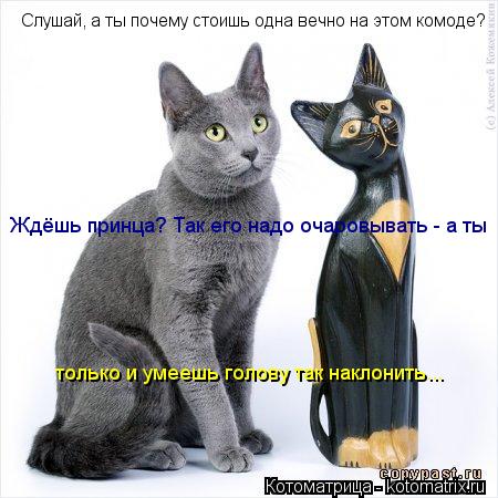 Котоматрица: Слушай, а ты почему стоишь одна вечно на этом комоде? Ждёшь принца? Так его надо очаровывать - а ты  только и умеешь голову так наклонить...