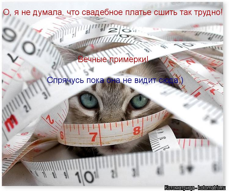 Котоматрица: О, я не думала, что свадебное платье сшить так трудно! О, я не думала, что свадебное платье сшить так трудно! Вечные примерки!  Спрячусь пока о