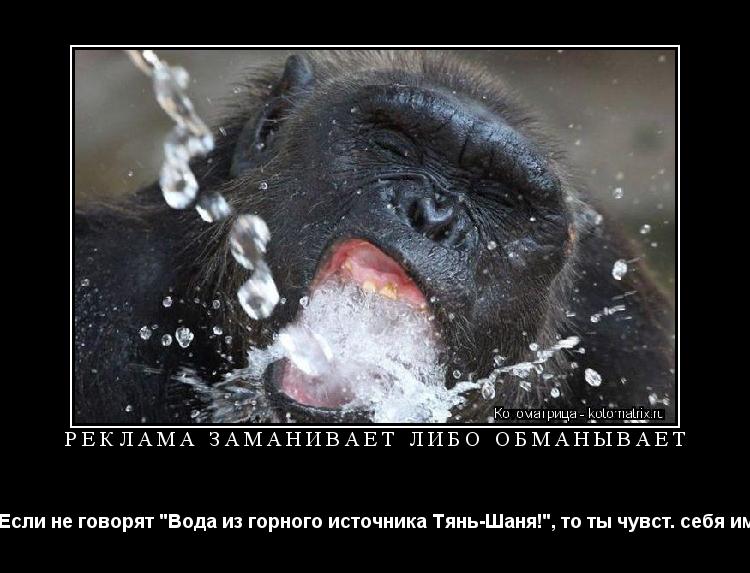 Реклама заманивает либо обманывает Если не говорят "Вода из горного источника Тянь-Шаня!", то ты чув... Котоматрица: Реклама заманивает либо обманывает Если не говорят "Вода из горного источника Тянь-Шаня!", то ты чувст. себя им