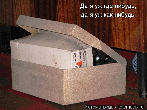 Котоматрица: Да я уж где-нибудь, да я уж как-нибудь