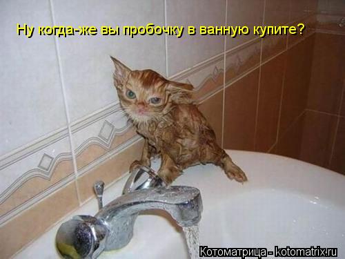 Котоматрица: Ну когда-же вы пробочку в ванную купите?