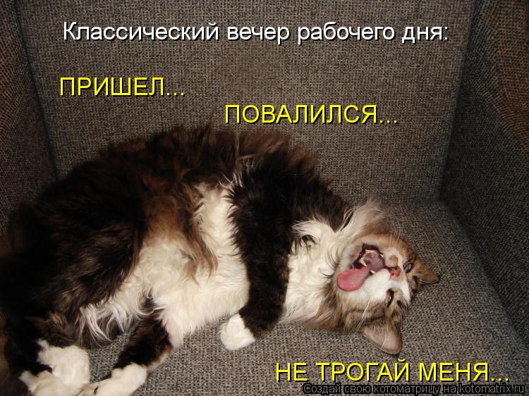 Классический вечер рабочего дня: ПРИШЕЛ... ПОВАЛИЛСЯ... НЕ ТРОГАЙ МЕНЯ...... Котоматрица: Классический вечер рабочего дня: ПРИШЕЛ... ПОВАЛИЛСЯ... НЕ ТРОГАЙ МЕНЯ...