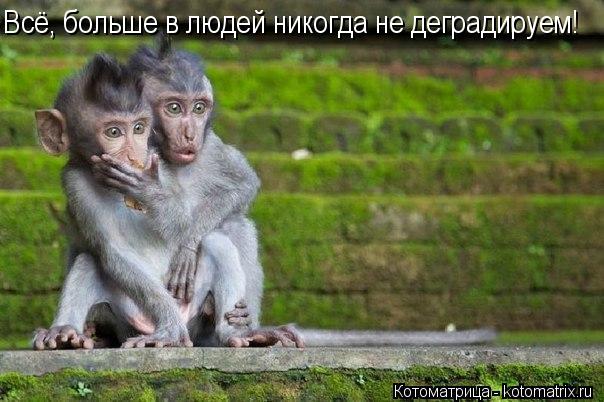 Всё, больше в людей никогда не деградируем!... Котоматрица: Всё, больше в людей никогда не деградируем!