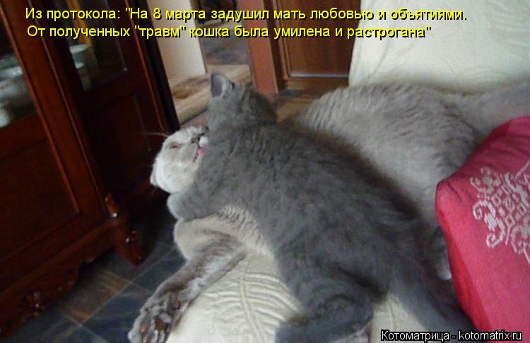 Котоматрица: Из протокола: "На 8 марта задушил мать любовью и объятиями.  От полученных "травм" кошка была умилена и растрогана"