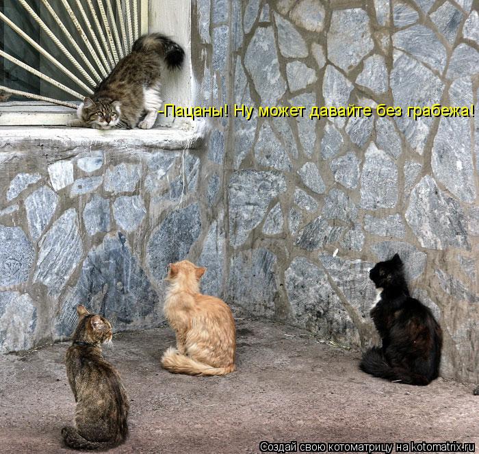 -Пацаны! Ну может давайте без грабежа!... Котоматрица: -Пацаны! Ну может давайте без грабежа!
