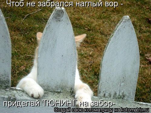 Котоматрица: Чтоб не забрался наглый вор -  Чтоб не забрался наглый вор -  приделай ТЮНИНГ на забор-
