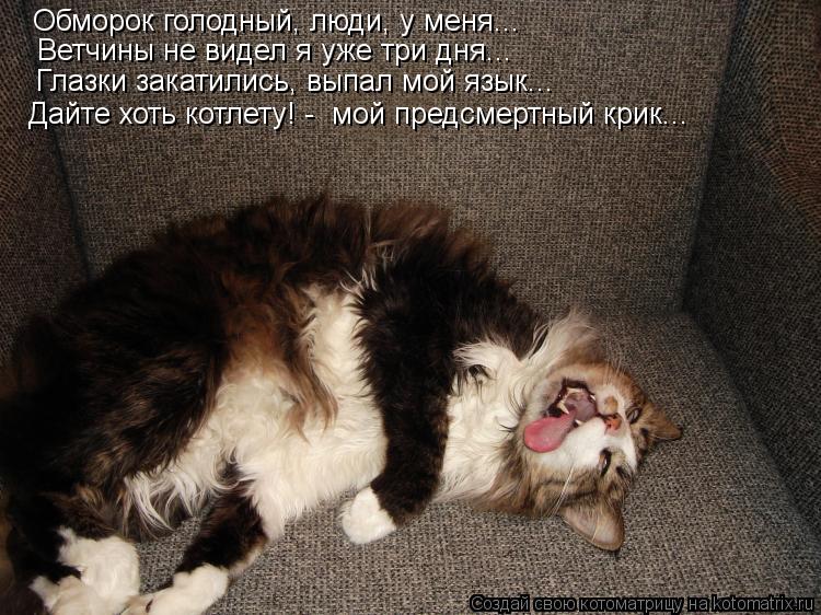 Котоматрица: Обморок голодный, люди, у меня... Ветчины не видел я уже три дня... Глазки закатились, выпал мой язык... Дайте хоть котлету! -  мой предсмертный к