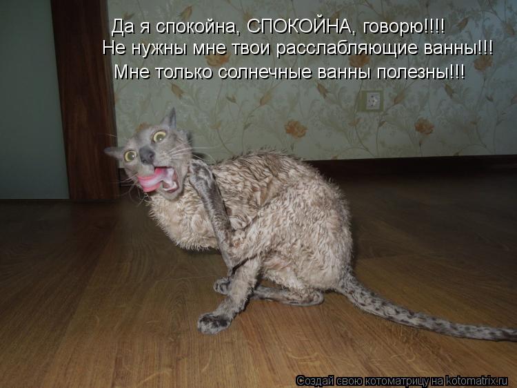 Котоматрица: Да я спокойна, СПОКОЙНА, говорю!!!! Не нужны мне твои расслабляющие ванны!!! Мне только солнечные ванны полезны!!!