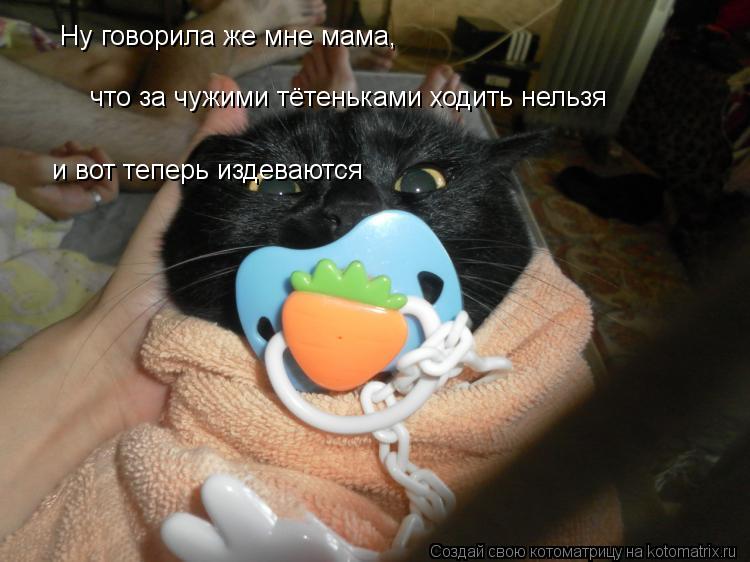 Котоматрица: Ну говорила же мне мама,  что за чужими тётеньками ходить нельзя и вот теперь издеваются