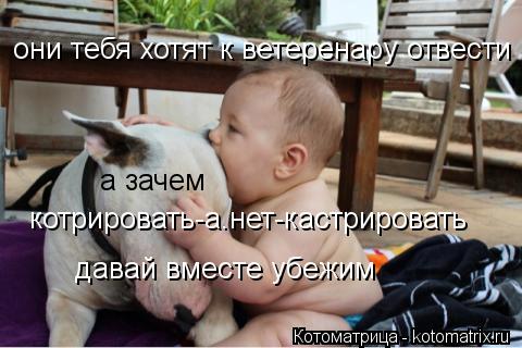 Котоматрица: они тебя хотят к ветеренару отвести а зачем котрировать-а.нет-кастрировать давай вместе убежим