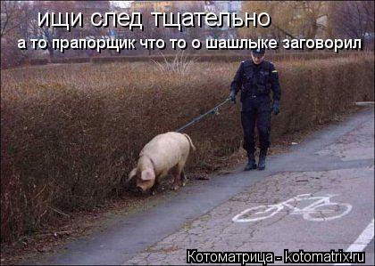 Котоматрица: ищи след тщательно а то прапорщик что то о шашлыке заговорил