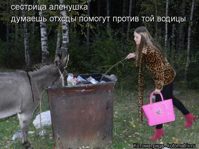 Котоматрица: сестрица аленушка думаешь отходы помогут против той водицы