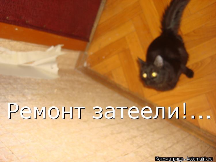 Котоматрица: Ремонт затеели!... Ремонт затеели!...