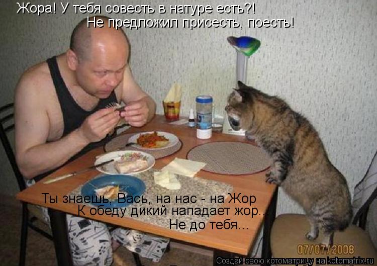 Котоматрица: Жора! У тебя совесть в натуре есть?! Не предложил присесть, поесть! Ты знаешь, Вась, на нас - на Жор К обеду дикий нападает жор... Не до тебя...