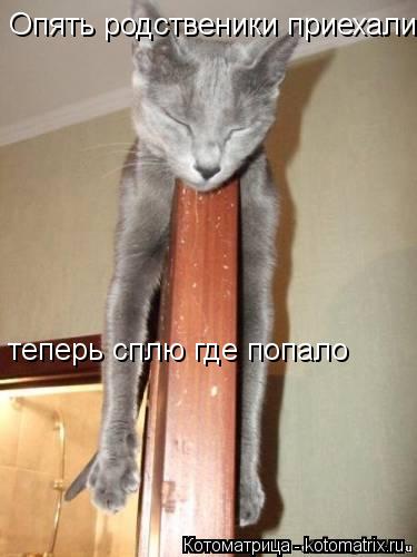 Котоматрица: Опять родственики приехали теперь сплю где попало