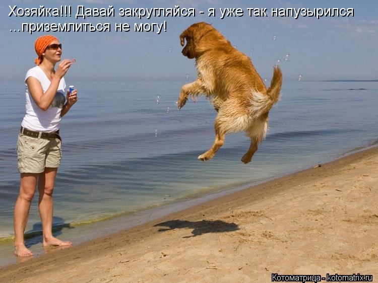 Котоматрица: Хозяйка!!! Давай закругляйся - я уже так напузырился ...приземлиться не могу!