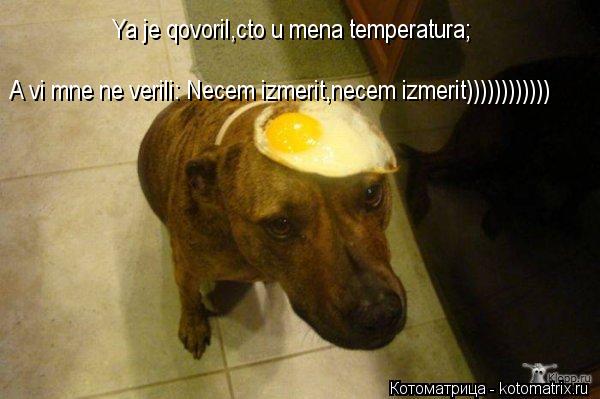 Котоматрица: Ya je qovoril,cto u mena temperatura;  A vi mne ne verili: Necem izmerit,necem izmerit))))))))))))