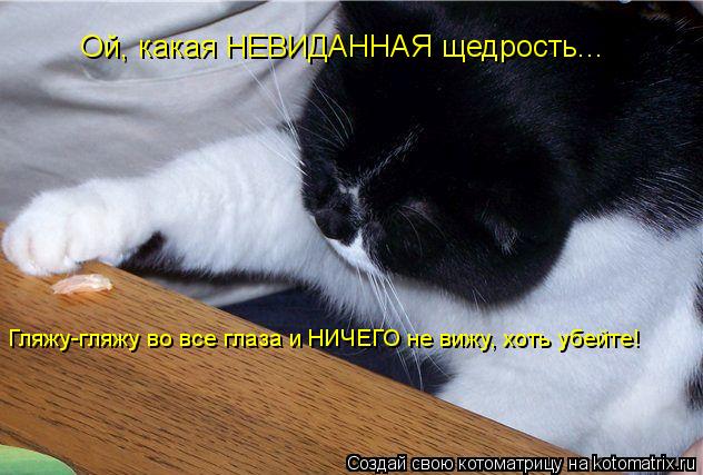 Котоматрица: Ой, какая НЕВИДАННАЯ щедрость... Гляжу-гляжу во все глаза и НИЧЕГО не вижу, хоть убейте!