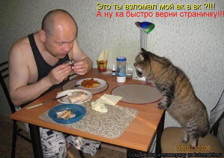 Котоматрица: Это ты взломал мой ак в вк ?!!! А ну ка быстро верни страничку!!!