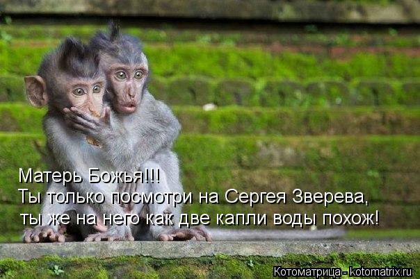 Котоматрица: Матерь Божья!!!  ты же на него как две капли воды похож!  Ты только посмотри на Сергея Зверева,