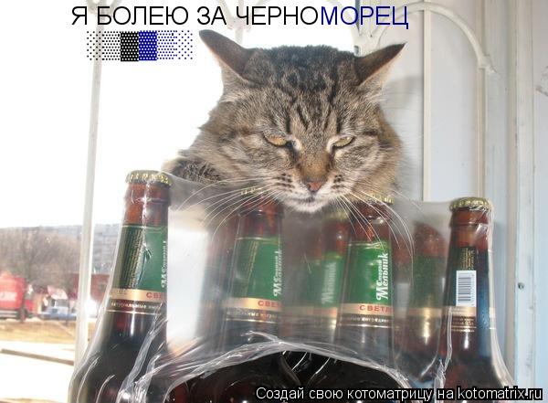 Котоматрица: Я БОЛЕЮ ЗА ЧЕРНО МОРЕЦ &#9619;&#9618;&#9617; &#9617;&#9618;&#9619;