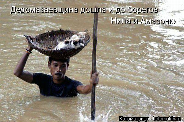 Котоматрица: Дедомазаевщина дошла и до борегов Нила и Амазонки