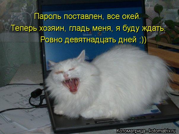 Котоматрица: Пароль поставлен, все окей. Теперь хозяин, гладь меня, я буду ждать. Ровно девятнадцать дней ;))