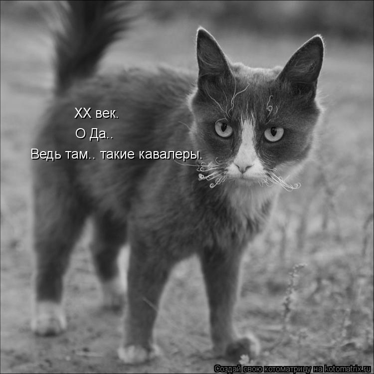 Котоматрица: ХХ век. О Да.. Ведь там.. такие кавалеры.
