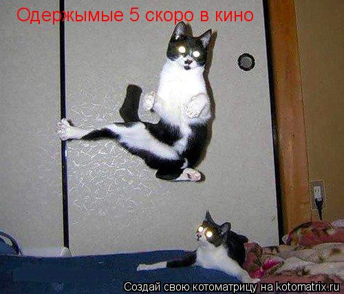 Котоматрица: Одержымые 5 скоро в кино