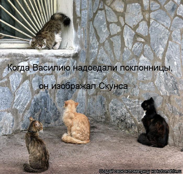 Когда Василию надоедали поклонницы, он изображал Скунса... Котоматрица: Когда Василию надоедали поклонницы, он изображал Скунса