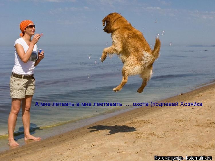 Котоматрица: А мне летаать а мне леетааать .... охота (подпевай Хозяйка