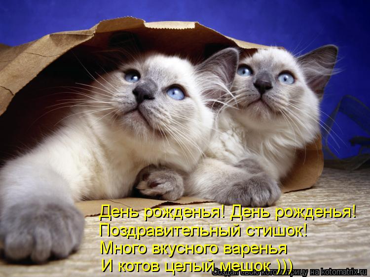 Котоматрица: День рожденья! День рожденья! Поздравительный стишок! Много вкусного варенья И котов целый мешок )))
