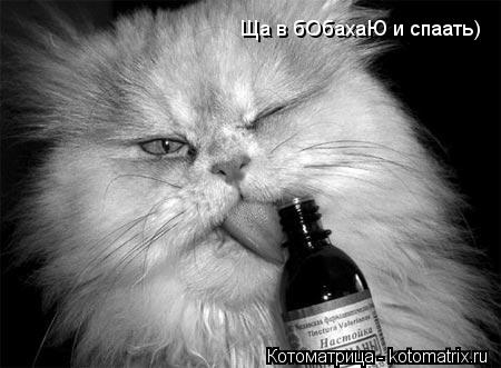 Котоматрица: Ща в бОбахаЮ и спаать)