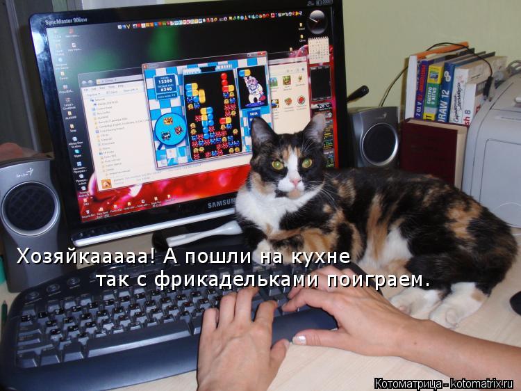 Котоматрица: так с фрикадельками поиграем. Хозяйкааааа! А пошли на кухне