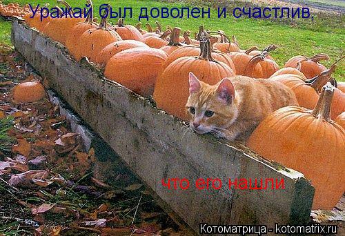 Котоматрица: Уражай был доволен и счастлив, Уражай был доволен и счастлив,  что его нашли