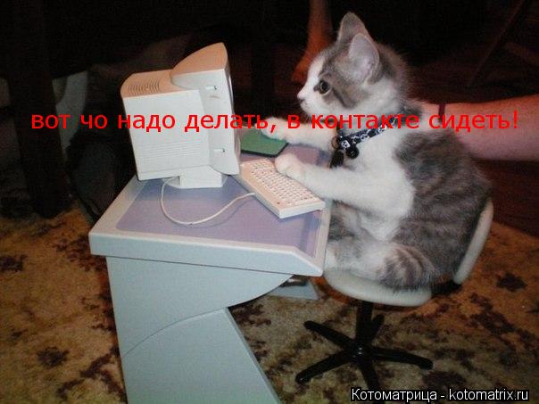 Котоматрица: вот чо надо делать в  вот чо надо делать, в контакте сидеть!