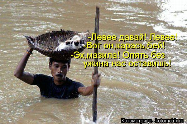 -Эх,мазила! Опять без ужина нас оставишь! -Левее давай! Левее! -Вот он,карась,бей!... Котоматрица: -Эх,мазила! Опять без ужина нас оставишь! -Левее давай! Левее! -Вот он,карась,бей!