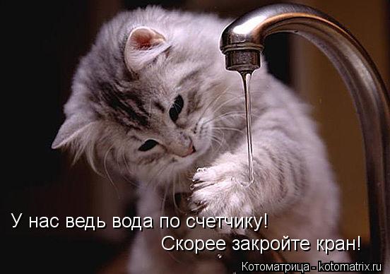 Котоматрица: У нас ведь вода по счетчику!  Скорее закройте кран!