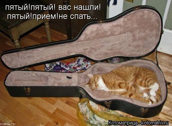 Котоматрица: пятый!пятый! вас нашли! пятый!прием!не спать...