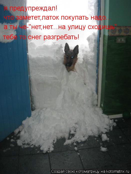 Котоматрица: я предупреждал! что заметет,латок покупать надо... а ты че-"нет,нет...на улицу сходишь" тебе то снег разгребать!