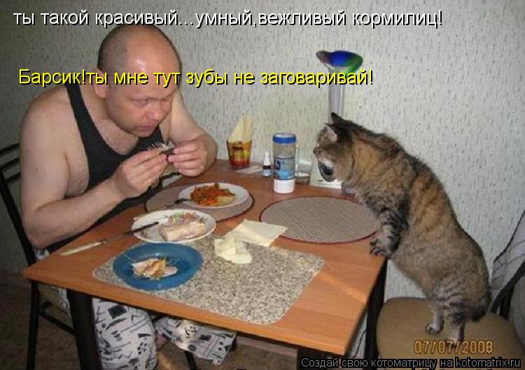 Котоматрица: Барсик!ты мне тут зубы не заговаривай! ты такой красивый...умный,вежливый кормилиц!
